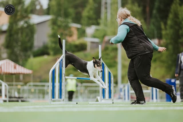 Ringa rakennekuva